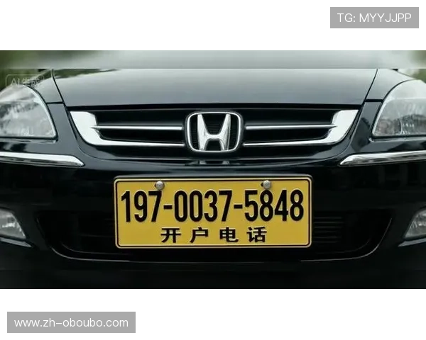 欧博abg会员登录官网官方入口，提供稳定可靠的登录服务保障用户账号安全