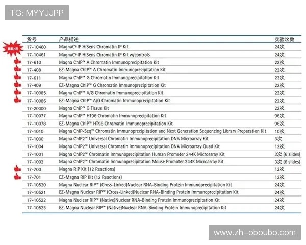 欧博222胆前级的用户评价与专业评测，帮助你做出明智购买决策