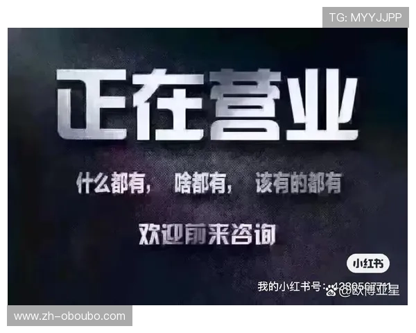 欧博亚星合作正网代理的优势与风险分析为投资者提供参考