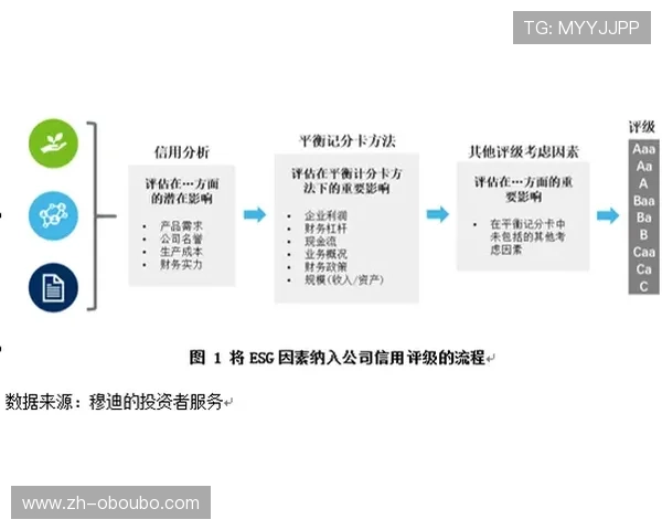 欧博国际官网客服电话投诉与建议反馈流程及用户权益保障
